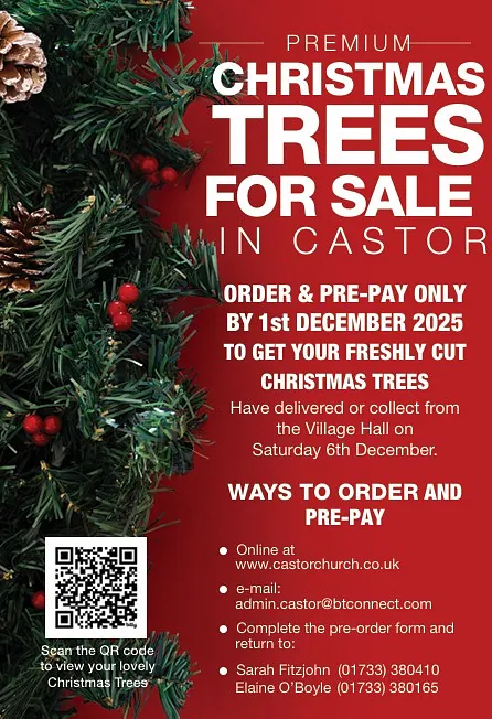 Christmas Trees 2025 St Kyneburgha Church, Castor, Peterborough