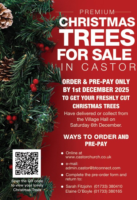 Christmas Trees 2025 St Kyneburgha Church, Castor, Peterborough